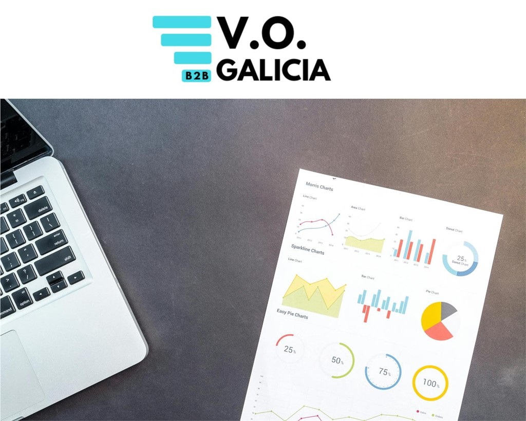 Cómo Comprar Furgonetas de Leasing Baratas: Una Guía con las Ofertas de V.O. Galicia